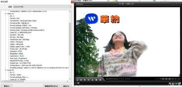 福利视频在线你懂的