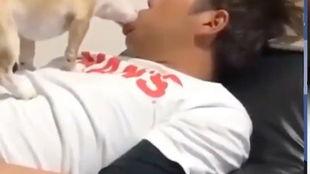 舌吻视频在线观看福利,在线观看，激情四溢的视觉盛宴